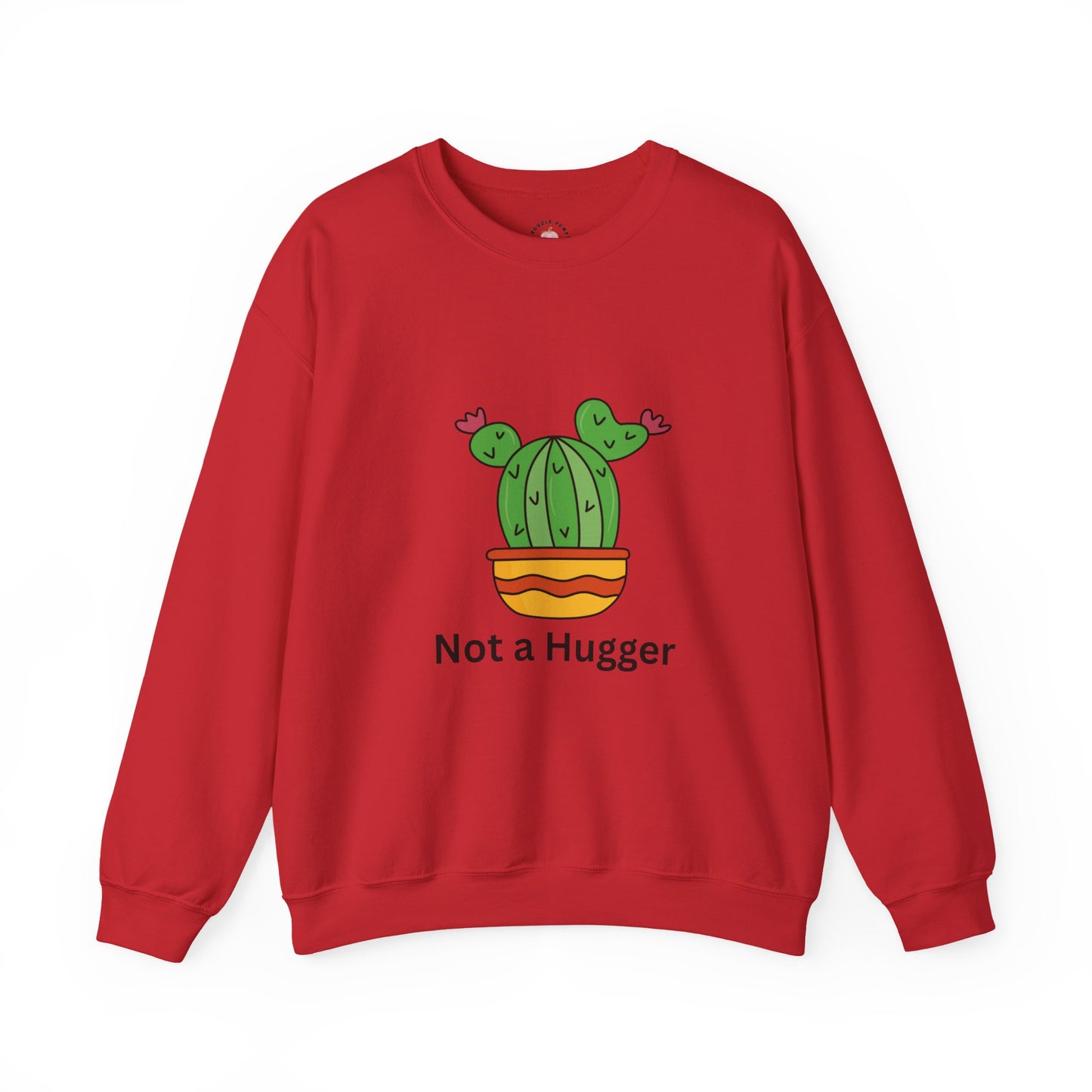 Cactus Not a Hugger Sweatshirt, Cute Sweatshirt, Funny Gift, Unisex Crewneck, Plant Lovers, Casual Wear, Birthday Gift