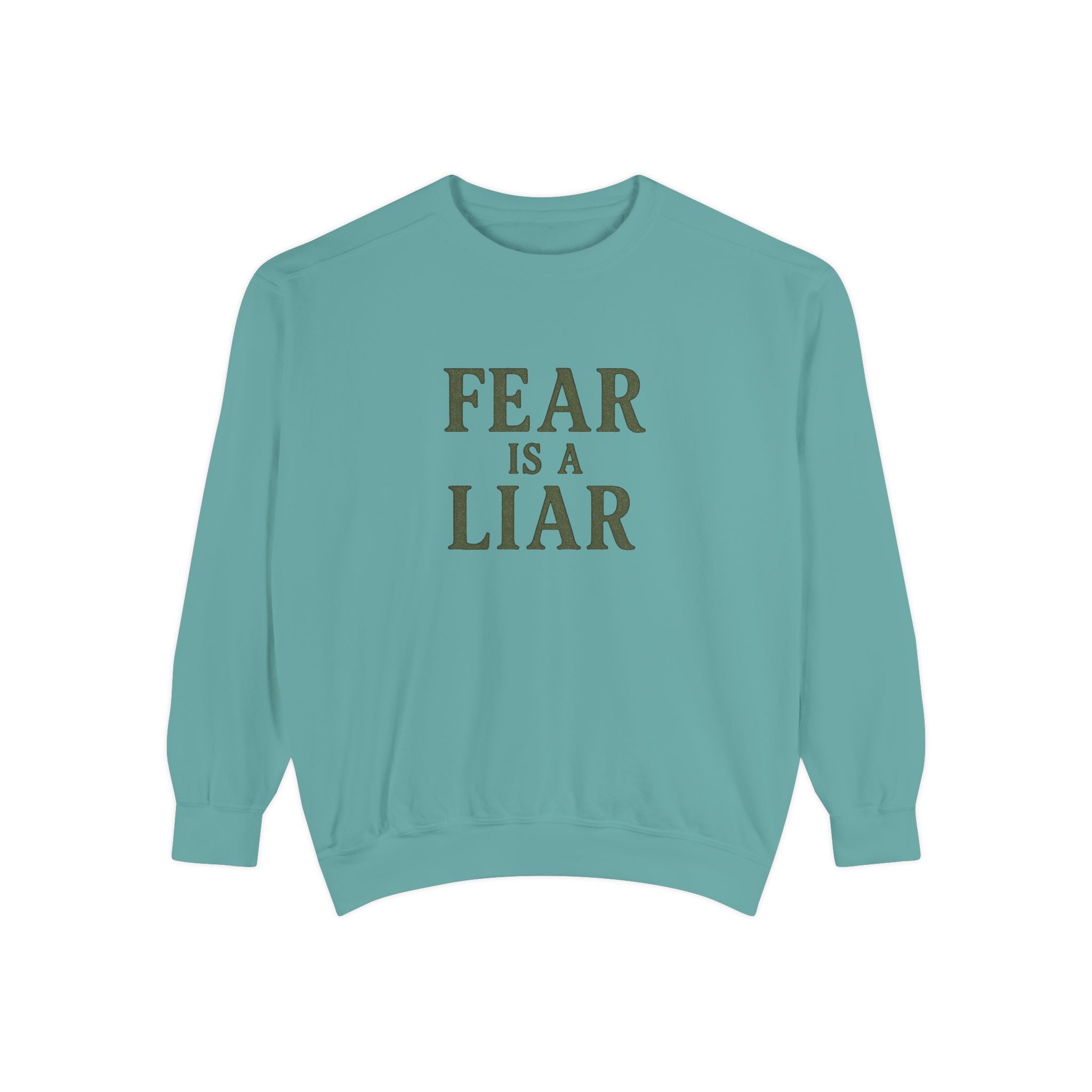 Fear Is a Liar Sweatshirt | Christian Faith Crewneck – The Bougie Pumpkin Boutique