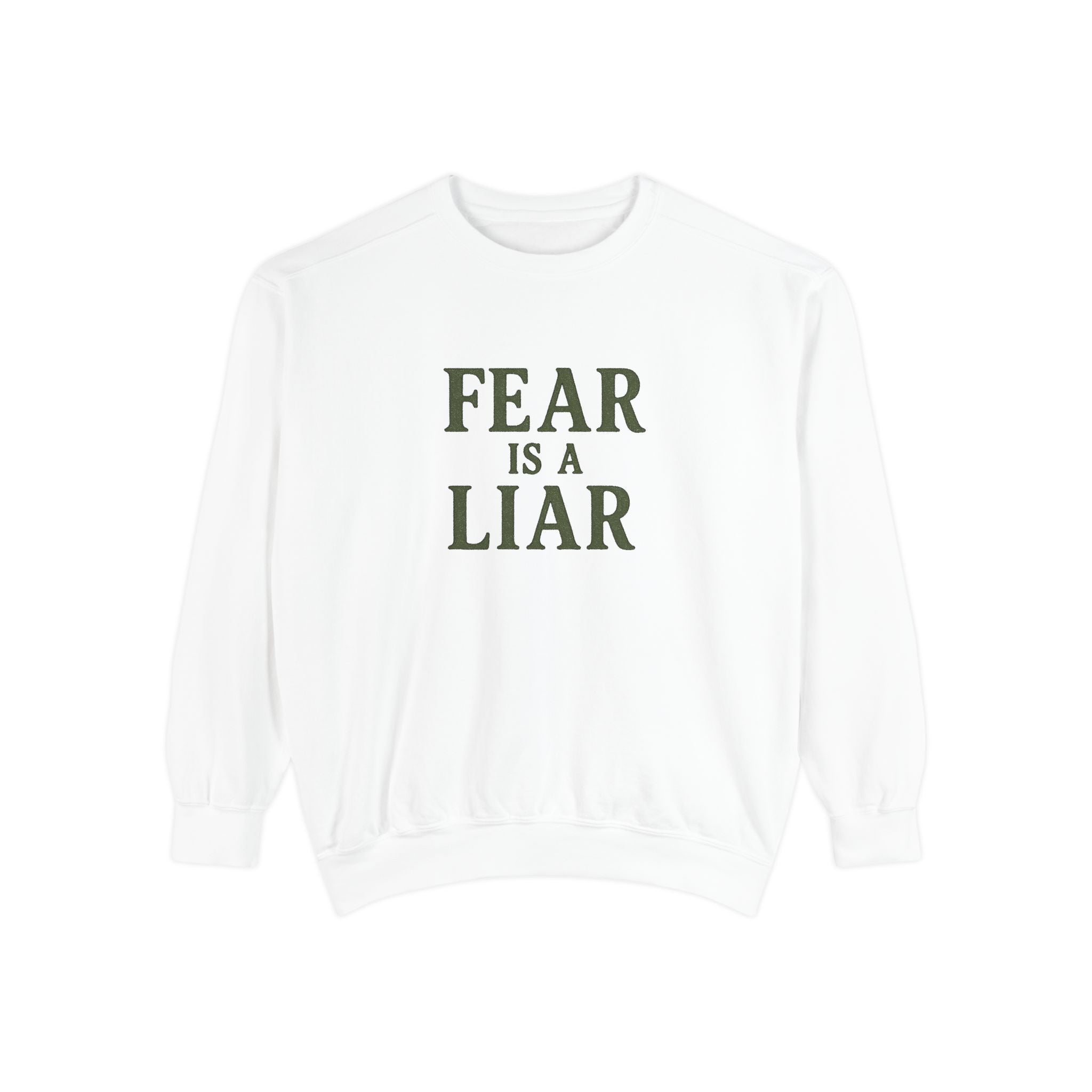Fear Is a Liar Sweatshirt | Christian Faith Crewneck – The Bougie Pumpkin Boutique