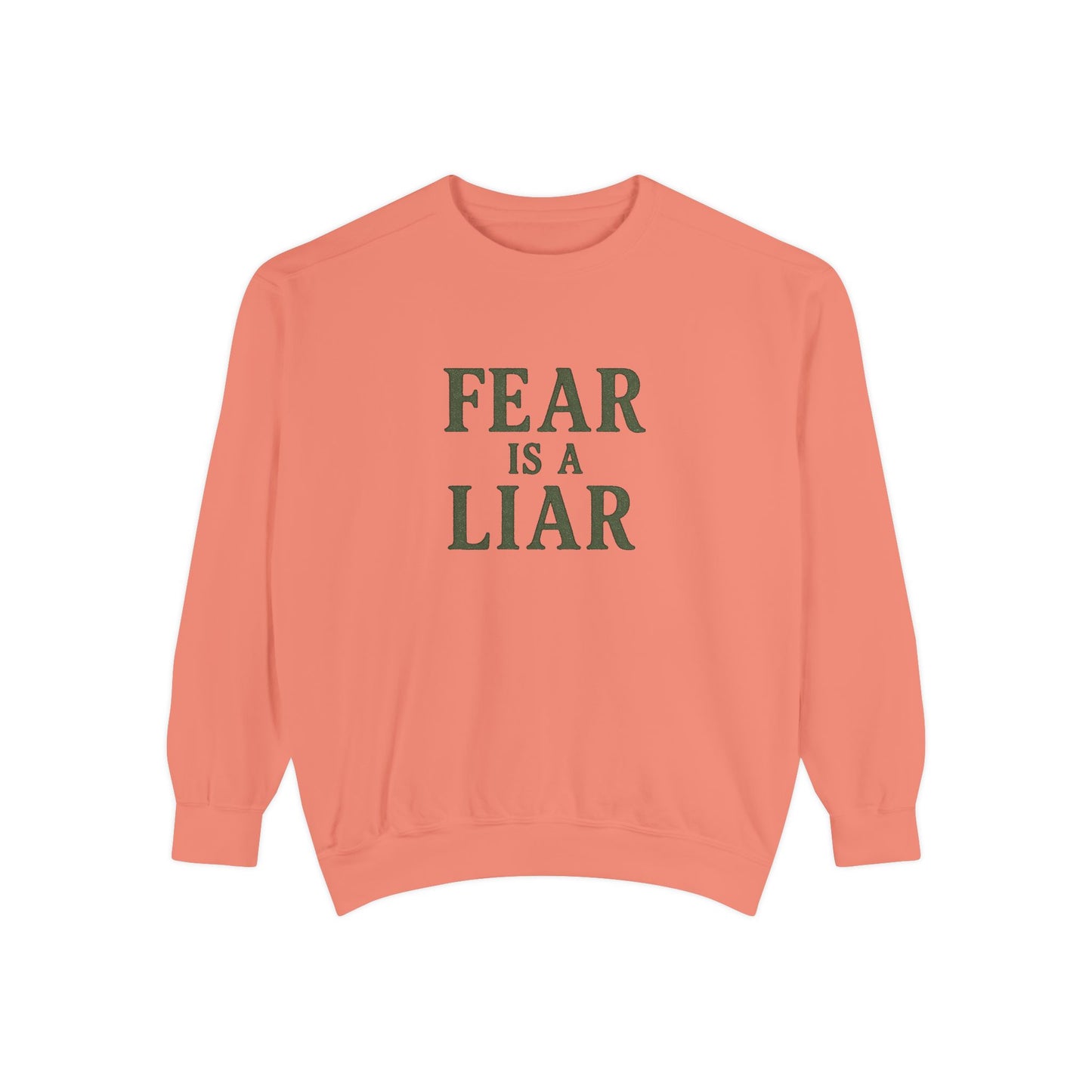 Fear Is a Liar Sweatshirt – Christian Faith Crewneck for Women-The Bougie Pumpkin Boutique - The Bougie Pumpkin Boutique