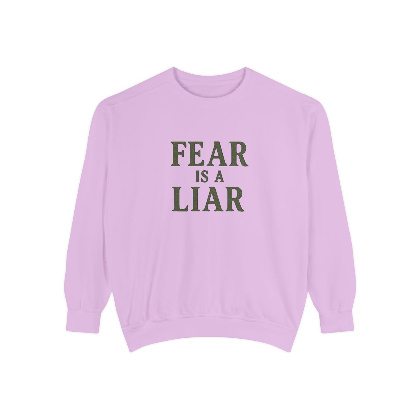 Fear Is a Liar Sweatshirt – Christian Faith Crewneck for Women-The Bougie Pumpkin Boutique - The Bougie Pumpkin Boutique