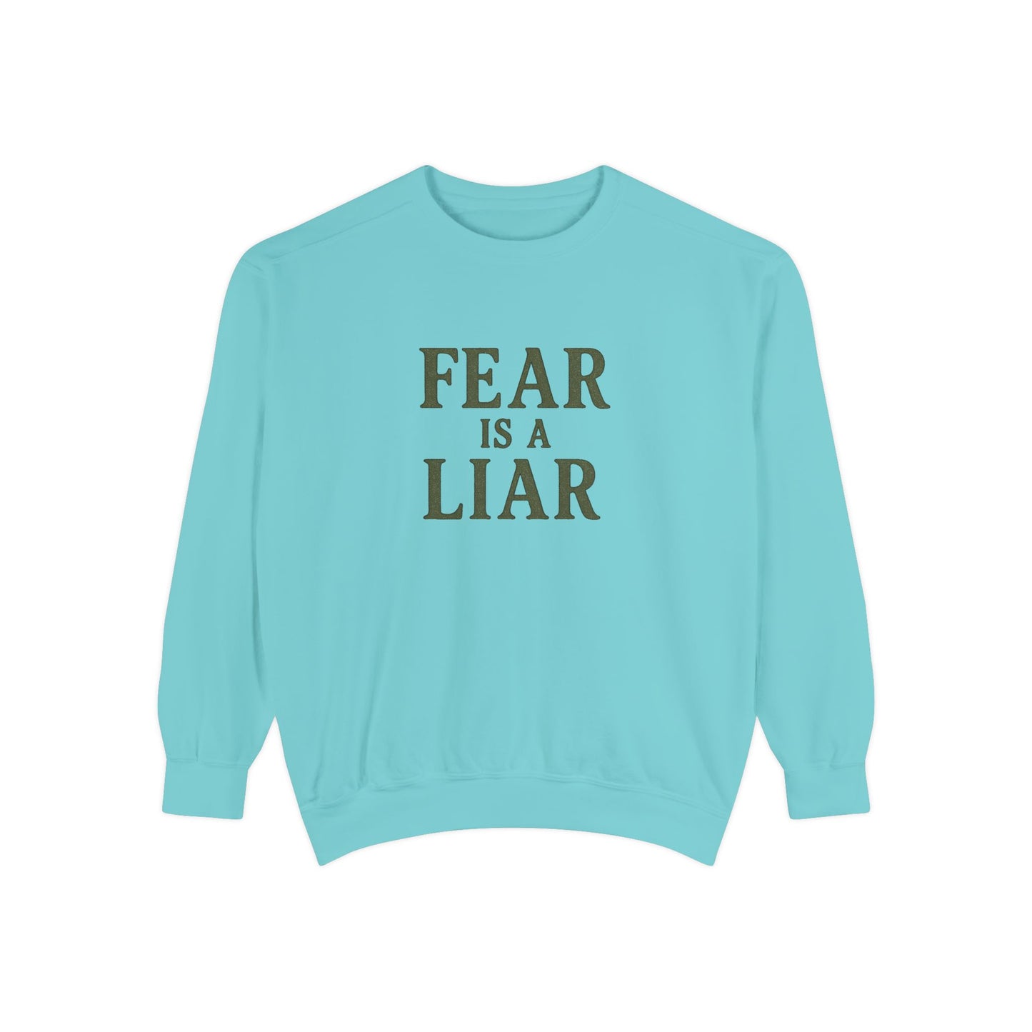 Fear Is a Liar Sweatshirt – Christian Faith Crewneck for Women-The Bougie Pumpkin Boutique - The Bougie Pumpkin Boutique