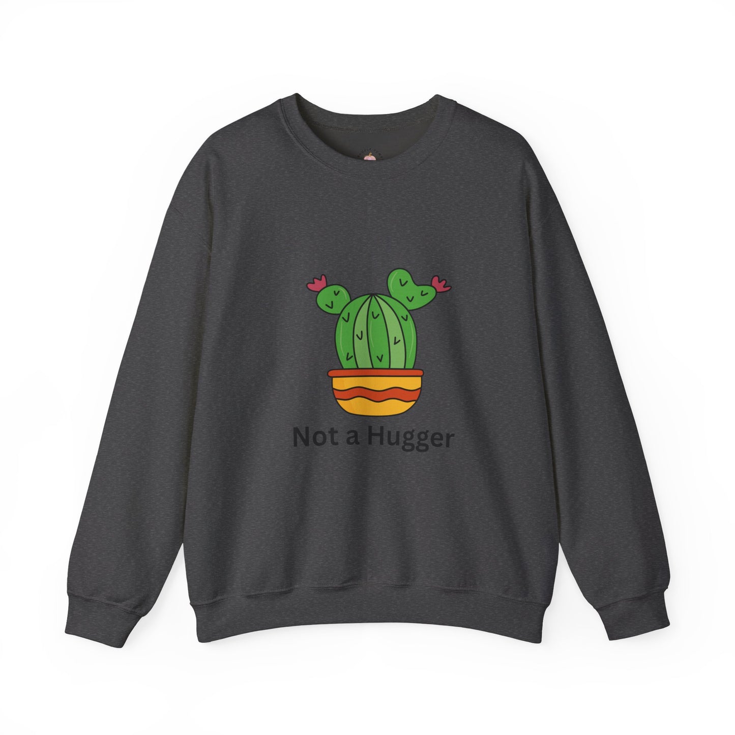 Cactus Not a Hugger Sweatshirt, Cute Sweatshirt, Funny Gift, Unisex Crewneck, Plant Lovers, Casual Wear, Birthday Gift